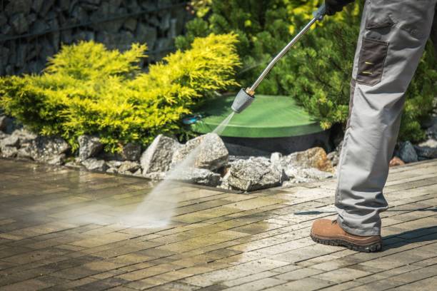 Best Residential Exterior Washing  in Chevy Chase View, MD