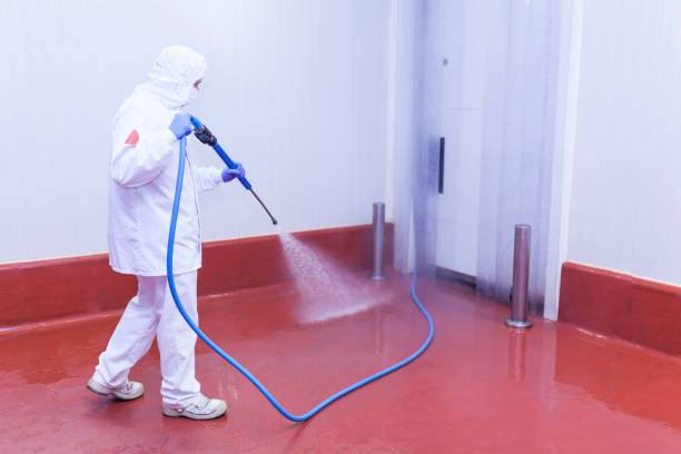 Best Graffiti Removal  in Chevy Chase View, MD