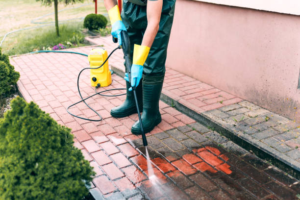  Chevy Chase View, MD Pressure Washing Pros