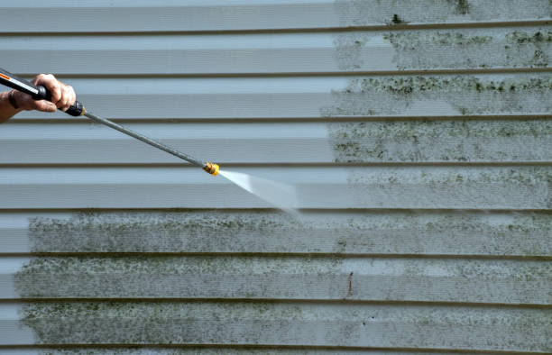 Best Gutter Cleaning  in Chevy Chase View, MD