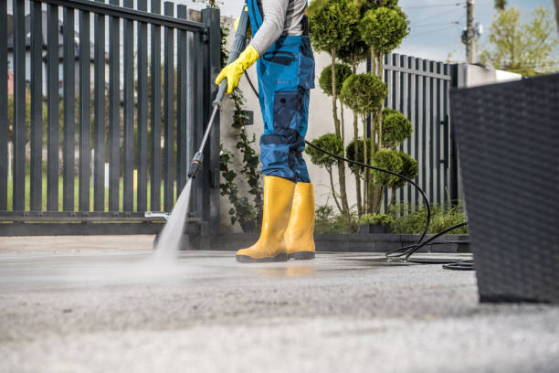Best Rust Removal  in Chevy Chase View, MD