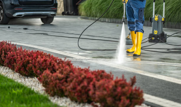 Best Oil Spill Cleanup  in Chevy Chase View, MD